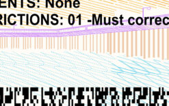 california drivers license back