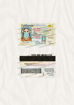 editable blank california driver's license template