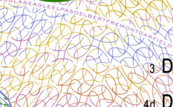 colorado driver's license temporary only