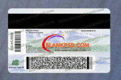 colorado drivers license back