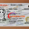 fake indiana drivers license