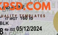 in driver's license template