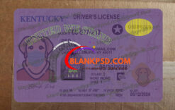 kentucky drivers license template