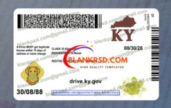 back of kentucky drivers license