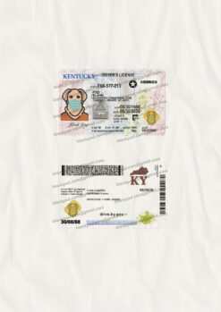 ky driver license template