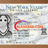fake new york drivers license