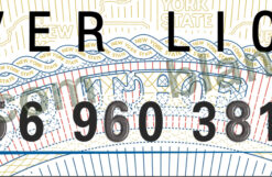 new york state driver's license example