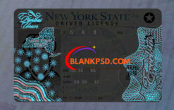 new york driver license template