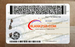 new york drivers license back