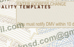 new york islanders draft picks 2023