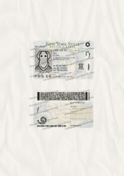new york drivers license psd