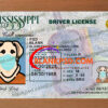 blank mississippi drivers license template