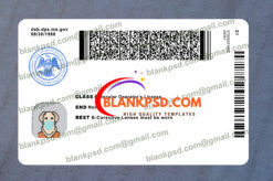 back of mississippi driver license