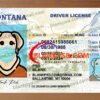 montana drivers license template