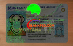 mt driver license psd