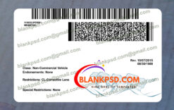 back of montana driver license