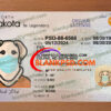 north dakota drivers license template