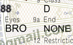 virginia id template