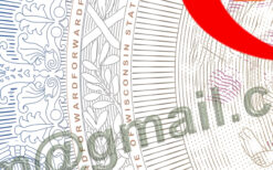 wisconsin driver license back