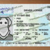 fake wyoming driver license