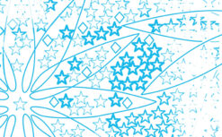 wy drivers license back