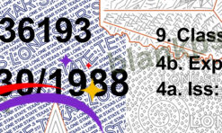 fake texas driver license