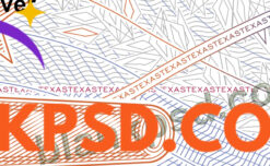 blank texas drivers license template