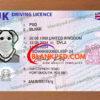 uk driving licence template
