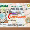 florida drivers license template