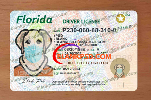 florida drivers license template