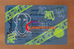 fake florida driver license