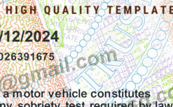 editable blank florida drivers license template