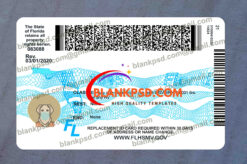 back of florida drivers license