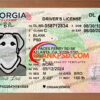 georgia drivers license template