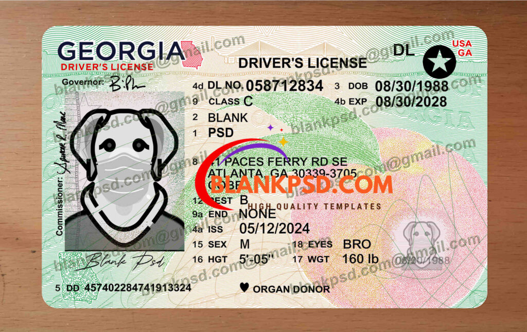 Georgia Drivers License Template New V3 1200 DPI Blank PSD