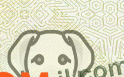 editable nebraska driver license