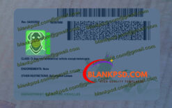 nebraska drivers license back uv