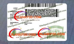 back of massachusetts driver license