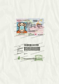 massachusetts driver's license new