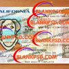 Blank California Drivers License
