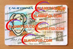Blank California Drivers License