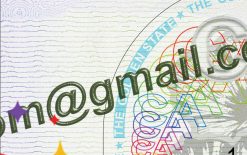 blank california drivers license 02