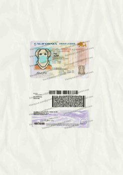 Fake California Driver License