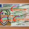 Fake German ID Card