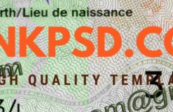 german identity card