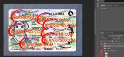 NC Drivers License Template