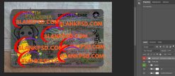 North Carolina Drivers License uv