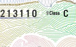 North Carolina Drivers License psd