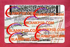 Back Of North Carolina Driver License