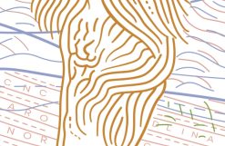 north carolina drivers license template 06